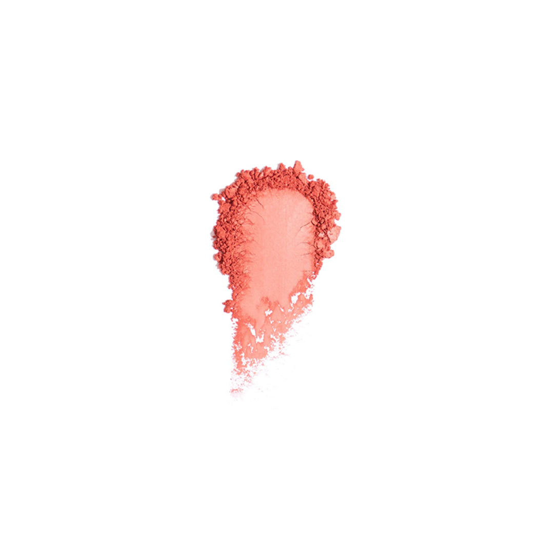 Noble Radiant Powder Blush 2in 1
